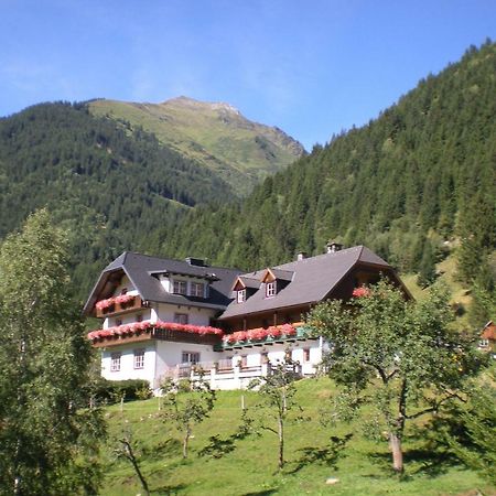 Villa Biobauernhof Spieszschweiger à Sankt Nikolai im Sölktal Extérieur photo